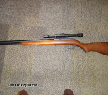 Marlin 22 with scope