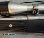 Ruger 3a