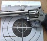 Taurus 357
